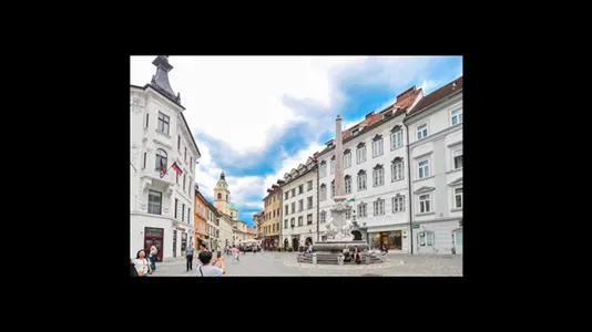 Apartments in Besnica - photo 9