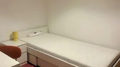 Room for rent in Lisbon (region)