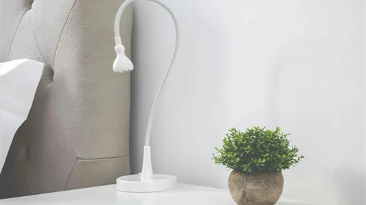 Apartments in Roma Municipio I – Centro Storico - photo 8