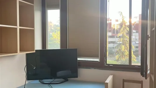 Rooms in Roma Municipio VIII ā Appia Antica - photo 2