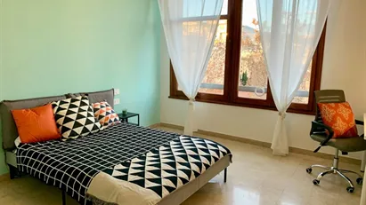Room for rent in Florence, Toscana