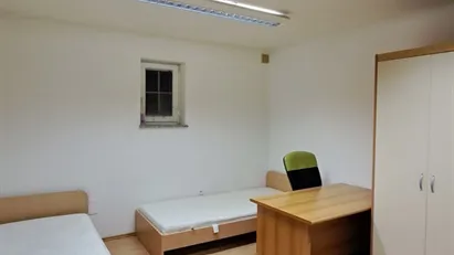 Room for rent in Besnica, Osrednjeslovenska