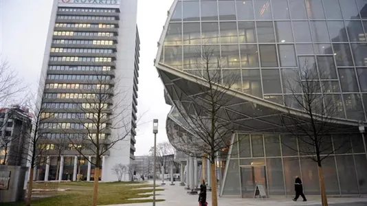 Apartments in Basel-Stadt - photo 8