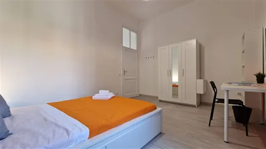 Rooms in Roma Municipio VIII – Appia Antica - photo 5