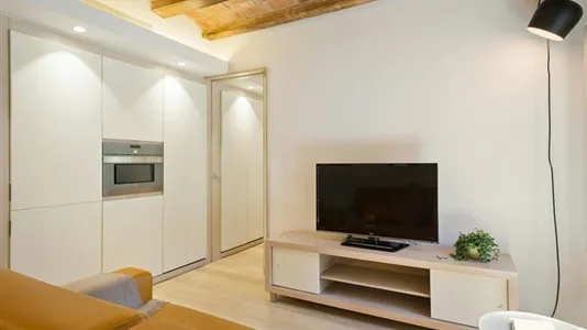 Apartments in Barcelona Ciutat Vella - photo 6