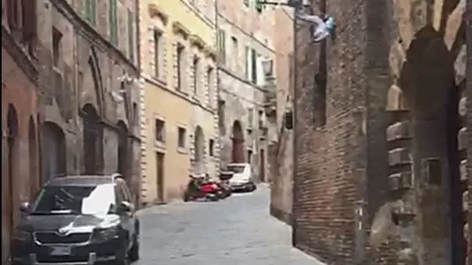 Rooms in Siena - photo 5