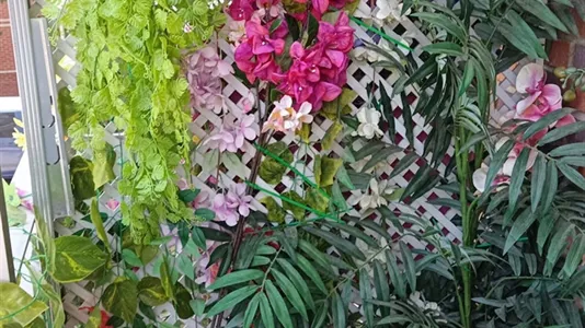 Rooms in Madrid Puente de Vallecas - photo 10