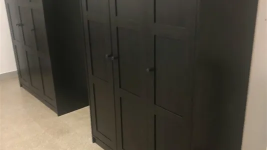 Rooms in Roma Municipio VI – Roma Delle Torri - photo 5