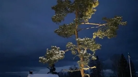 Houses in Norrtälje - photo 14