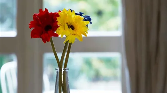 Rooms in Milano Zona 5 - Vigentino, Chiaravalle, Gratosoglio - photo 10