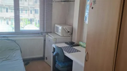 Room for rent in Rotterdam Kralingen-Crooswijk, Rotterdam