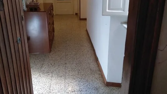 Rooms in Pisa - photo 4