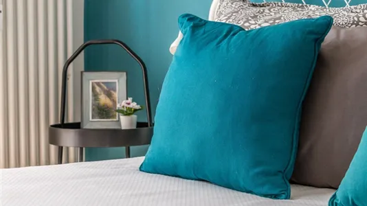 Rooms in Padua - photo 4