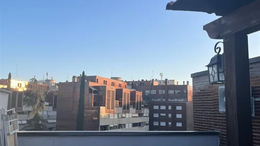 Rooms in Roma Municipio VIII – Appia Antica - photo 7