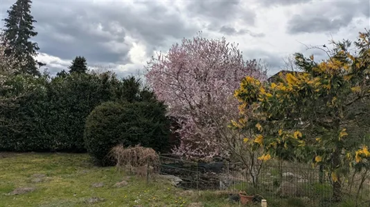 Rooms in Berlin Pankow - photo 9