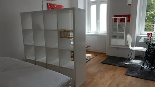 Apartments in Vienna Josefstadt - photo 8