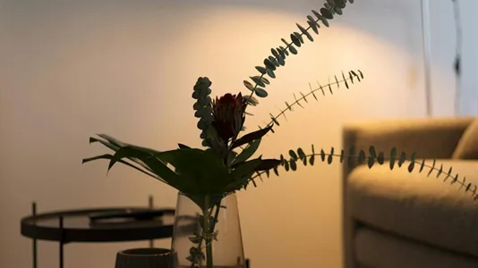 Apartments in Berlin Friedrichshain-Kreuzberg - photo 6