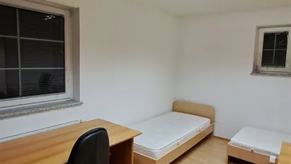 Room for rent in Besnica, Osrednjeslovenska