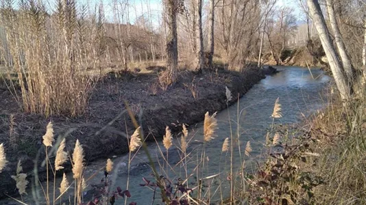 Houses in Cortes de Baza - photo 7