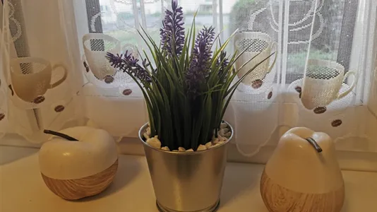 Apartments in Kassel - photo 7