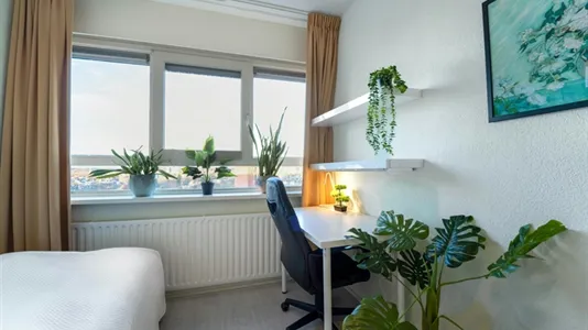 Rooms in Location is not specified - photo 5