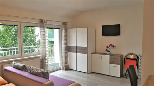 Apartments in Perchtoldsdorf - photo 1