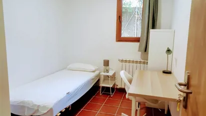 Room for rent in Cerdanyola del Vallès, Cataluña