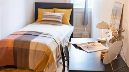 Room for rent in Budapest Erzsébetváros, Budapest