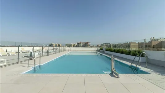 Apartments in Enramadilla - photo 8