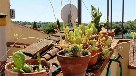 Apartments in Florence - photo 4