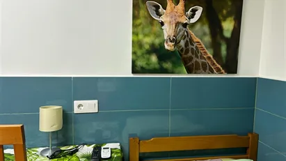 Apartment for rent in Barcelona Les Corts, Barcelona