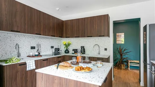 Rooms in L'Haÿ-les-Roses - photo 8