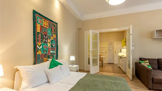 Apartments in Budapest Ferencváros - photo 7