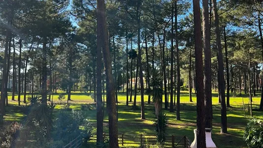 Apartments in Almada - photo 4