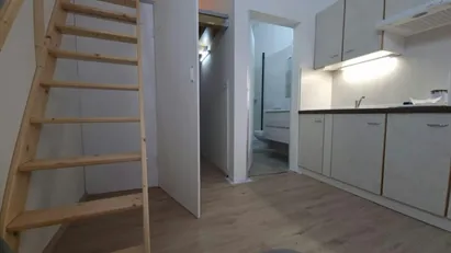 Apartment for rent in Besnica, Osrednjeslovenska