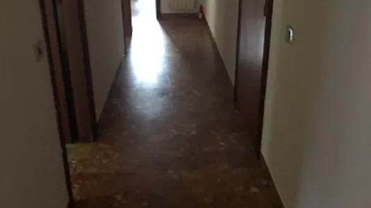 Apartments in Mezzanego - photo 10