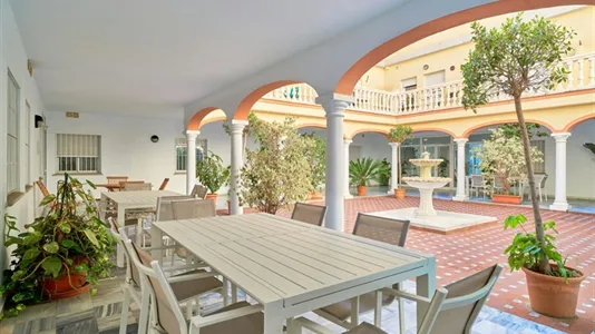 Apartments in Málaga - photo 8