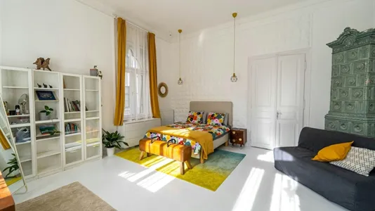 Apartments in Budapest Józsefváros - photo 9