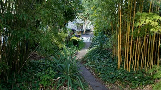 Rooms in Location is not specified - photo 5