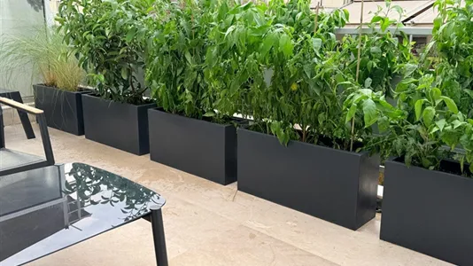 Rooms in Athens Agios Nikolaos - photo 8