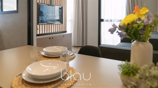 Apartments in Barcelona Sant Martí - photo 5