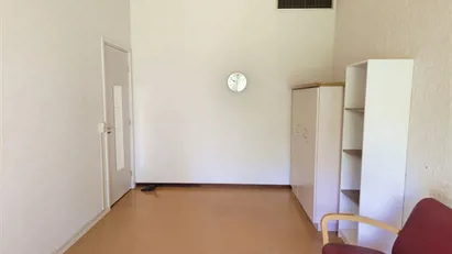 Short-term rental in Delft available