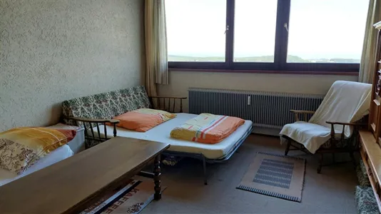 Apartments in Alberndorf in der Riedmark - photo 2