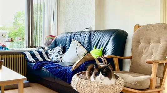 Rooms in Location is not specified - photo 4