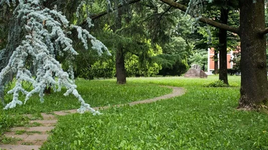 Rooms in Brescia - photo 10