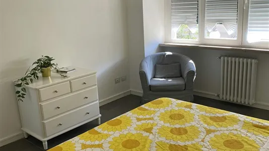 Apartments in Pisa - photo 4