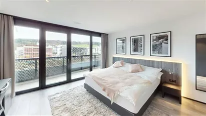 Apartment for rent in Uster, Zürich (Kantone)