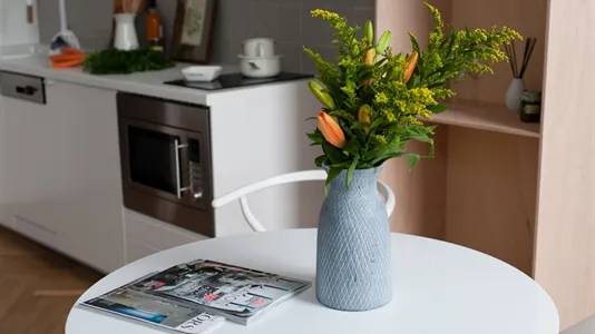 Apartments in Vienna Leopoldstadt - photo 5