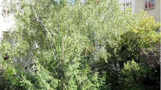 Apartments in Vienna Leopoldstadt - photo 8