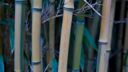 Rooms in Location is not specified - photo 9